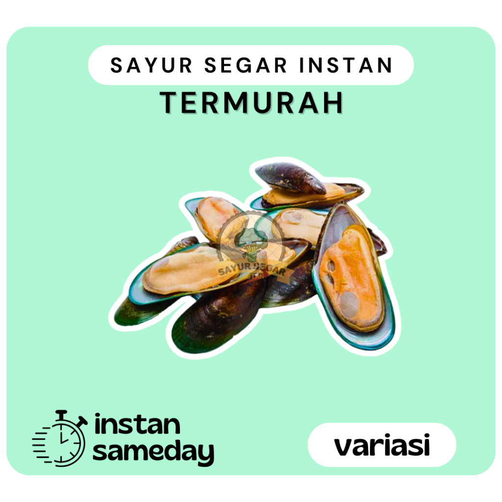 

Kerang Ijo / Kerang Hijau Segar