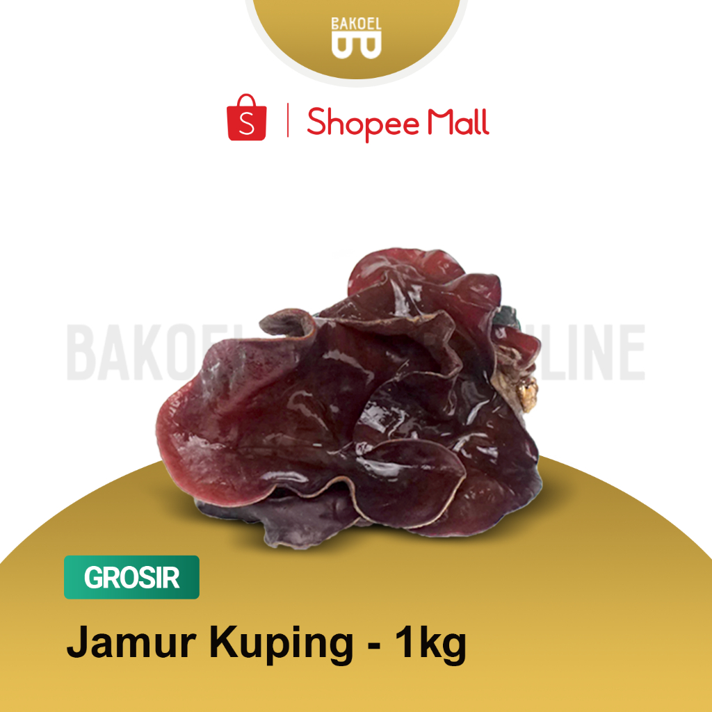 

Jamur Tiram - Grosir 1 Kg