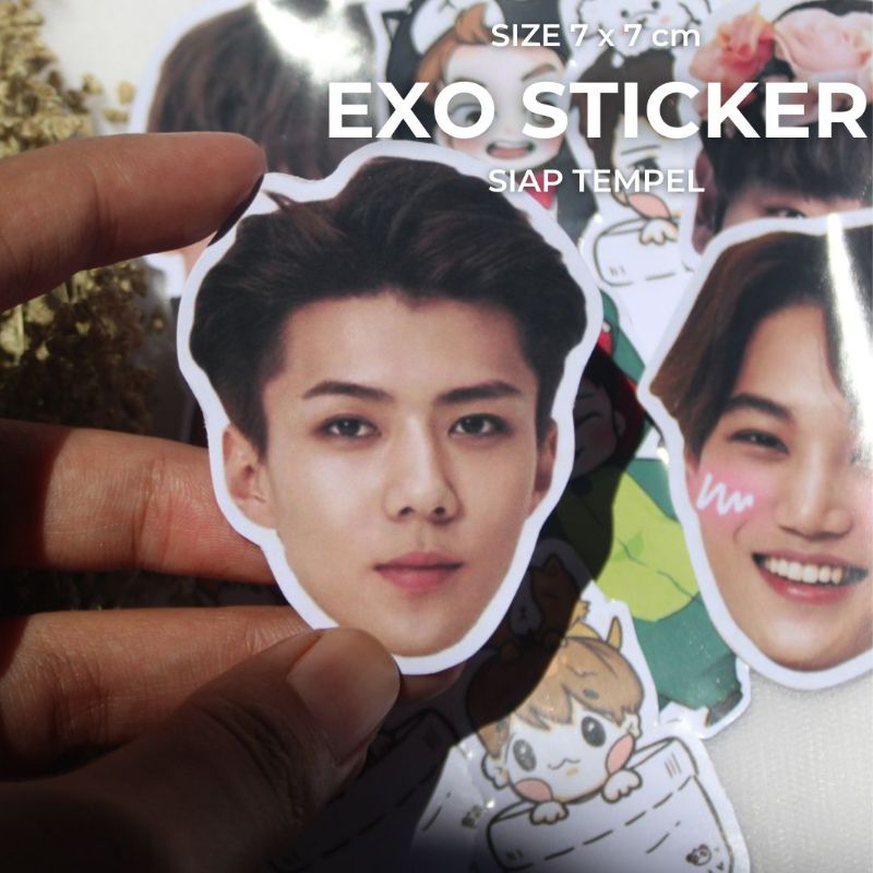

Sticker Stiker Sticker Aesthetic Sticker Custom Setiker Sticker Deco Stiker Aesthetic Sticker Laptop Sticker Pack Setiker Stiker Hp Aesthetic Journal Scrapbook Binder Aesthetic Cutting EXO Series 7x7 cm
