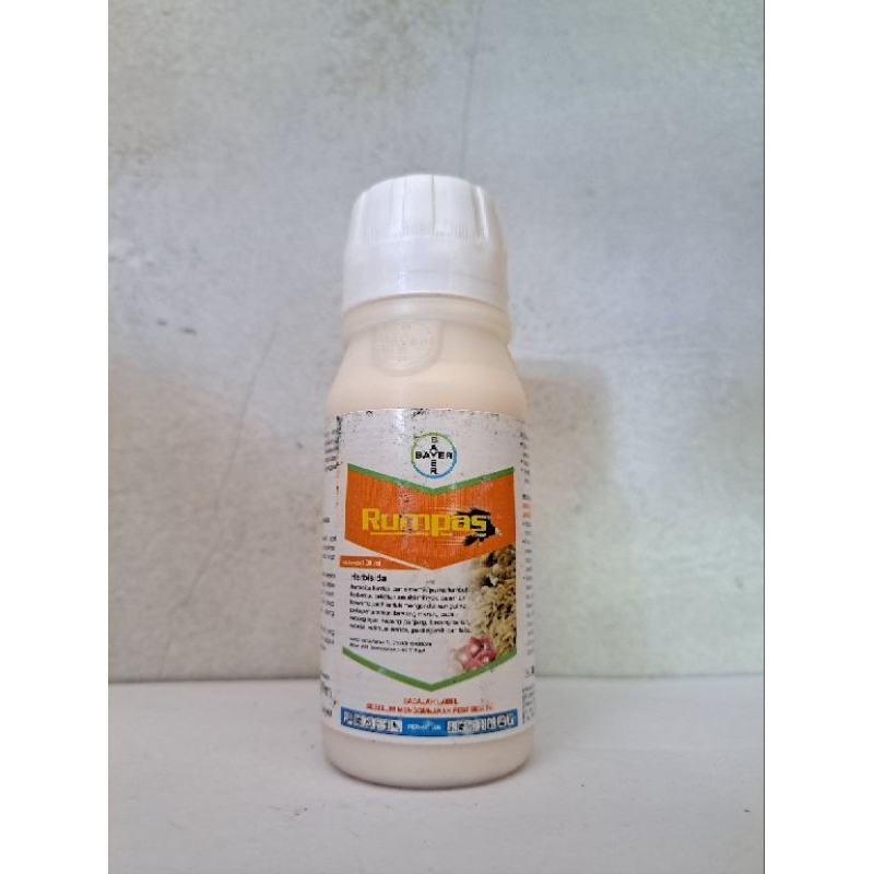 RUMPAS