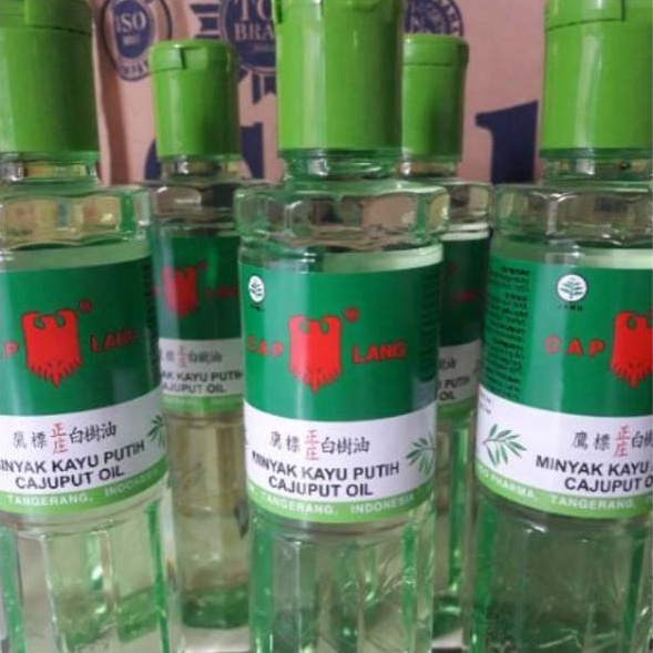 

TERJAMIN BAGUS Minyak Kayu Putih Cajuput Oil 12ml dan 21ml