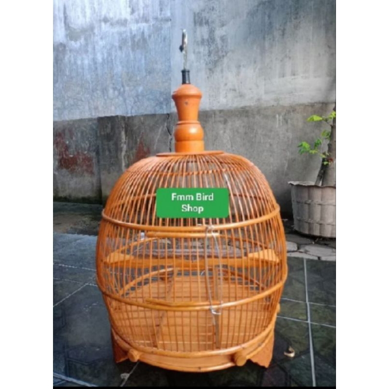 Sangkar burung perkutut minion