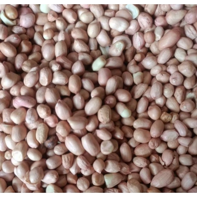 

kacang tanah kemasan 1/2kg dan 1kg