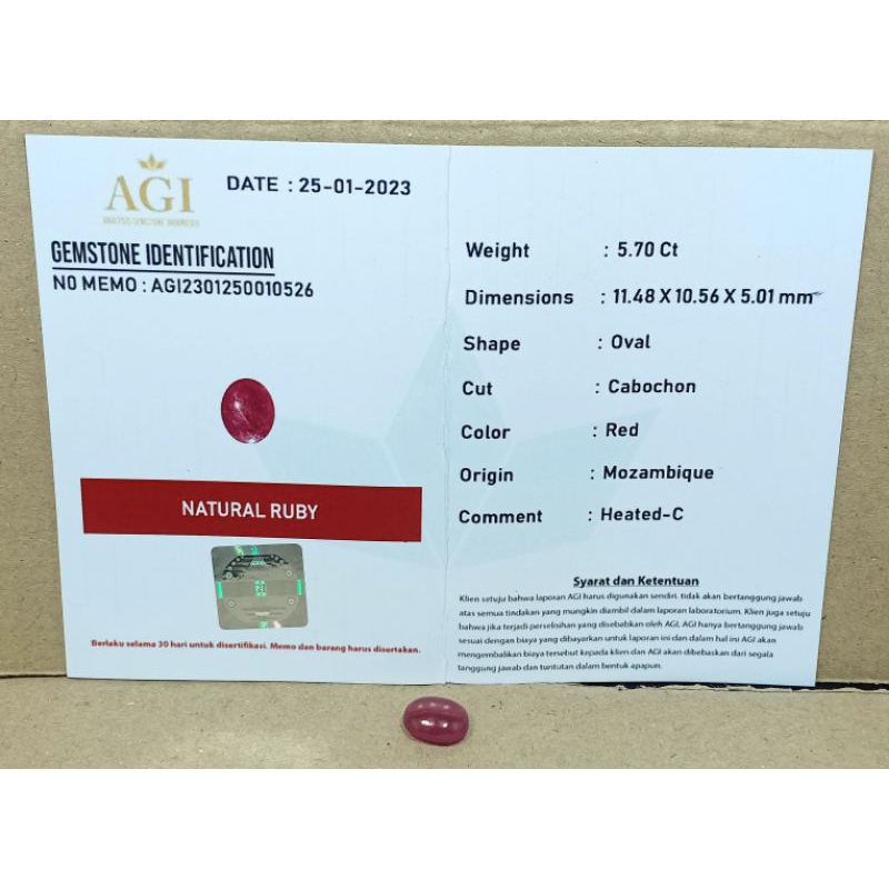 ASLI NATURAL BATU LOSTONE RUBY 'PIGEON' BERSERTIFIKAT