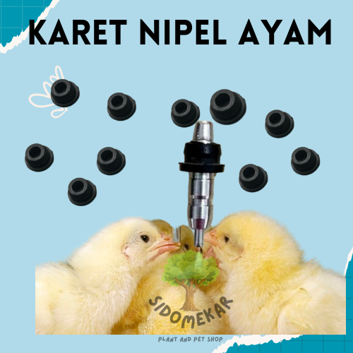 Karet Nipple Niple Nipel Nepel Drinker Tempat Minum Ayam Stainless