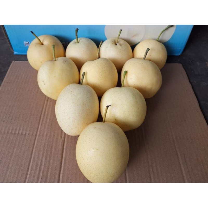 

buah Pear pir madu 1 kg