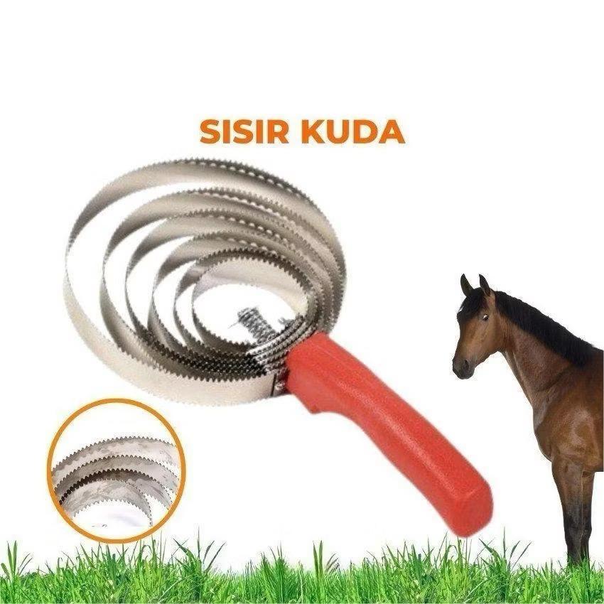 SISIR BULU KUDA SAPI KAMBING DAN HEWAN LAINNYA