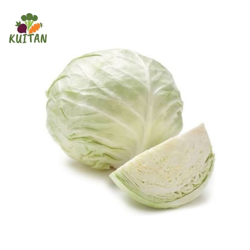 

sayur kol fresh
