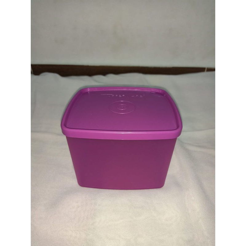 Tempat makan Kotak Ungu (Tupperware)