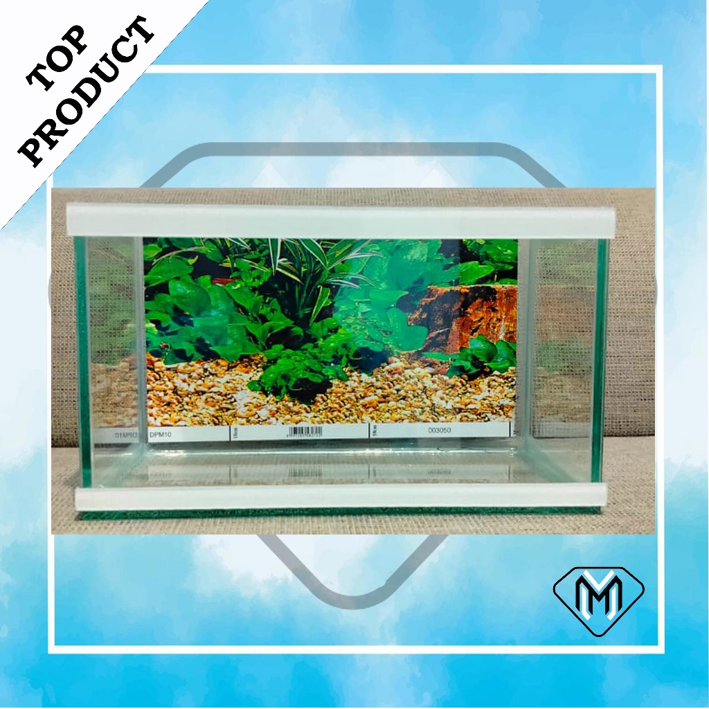 aquarium minimalis full set kaca ketebalan 5 mm panjang 30 cm