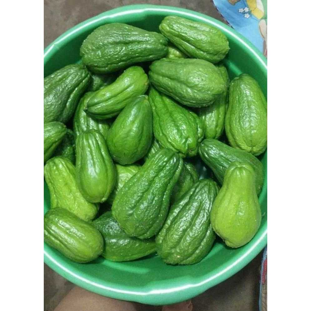 

Labu Siam 1 pcs - KIRIM INSTANT GAYATRI SAYUR