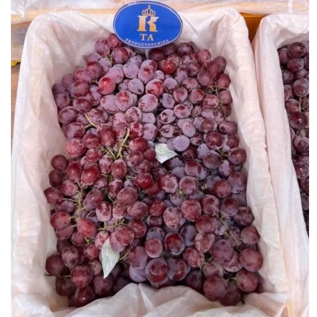 

Anggur Red Globe Curah TA Jual Per 1 BOK Krat