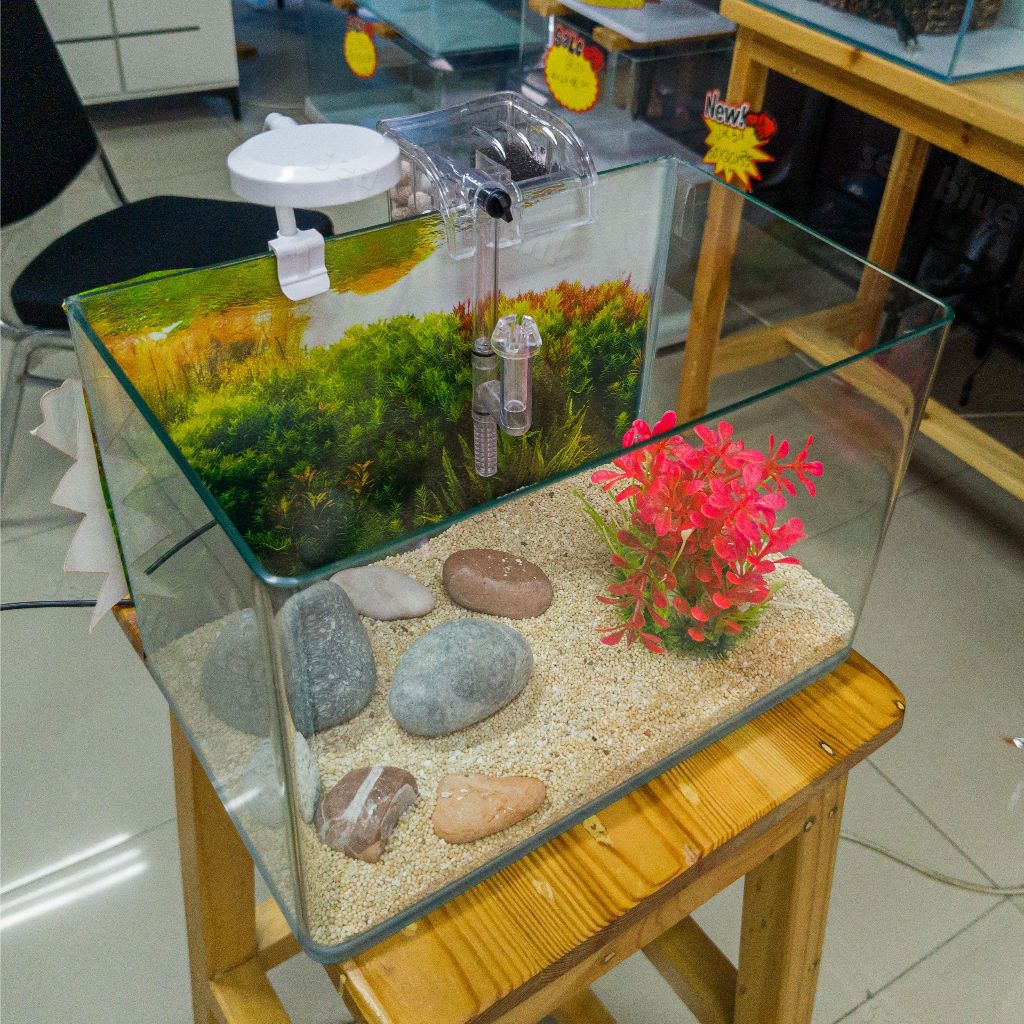 Sbt Aquarium Paket 30 Cm / Aquarium Melengkung / Aquascape / Aquarium Bending
