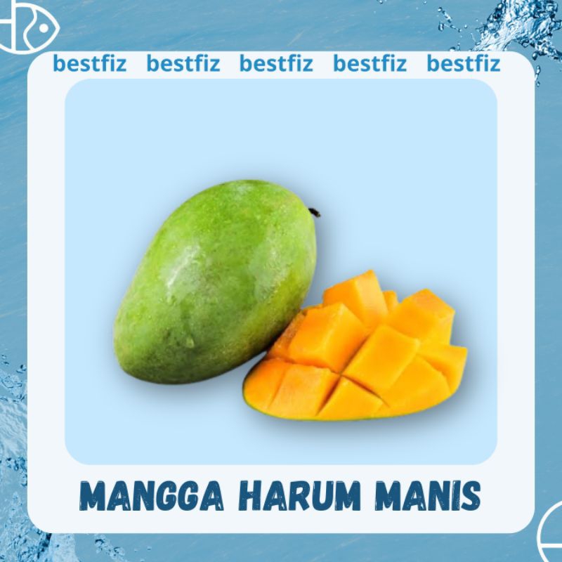 

Mangga Harum Manis