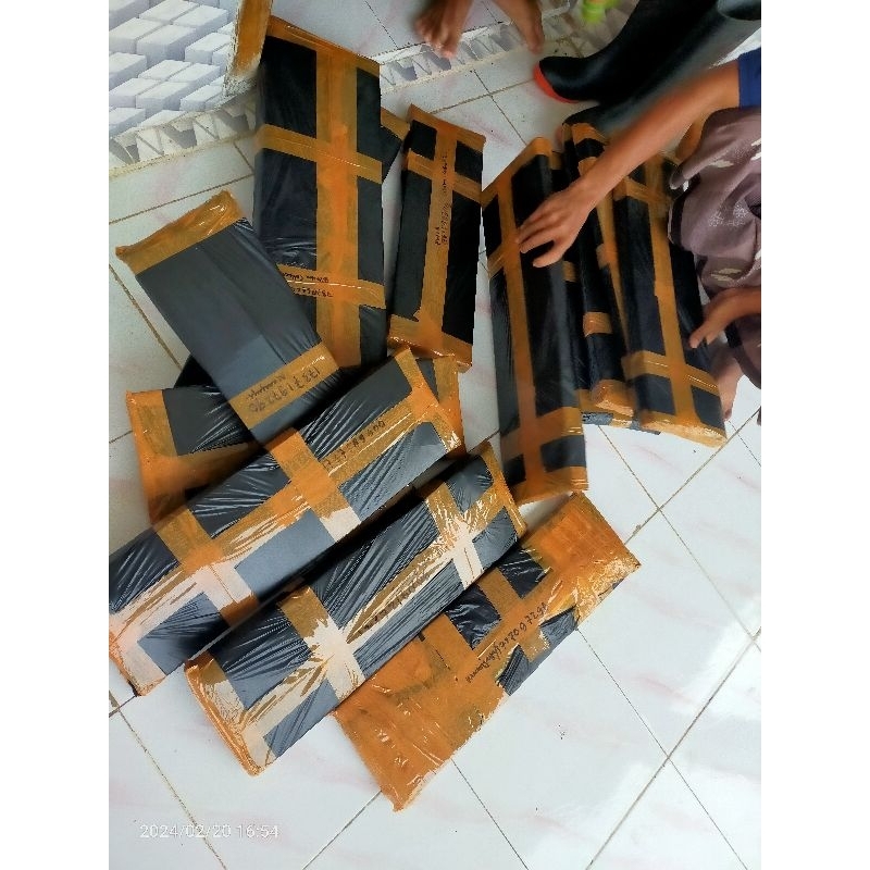 kerajinan bulu ayam 02jumbo Peking kardus plastik rapih