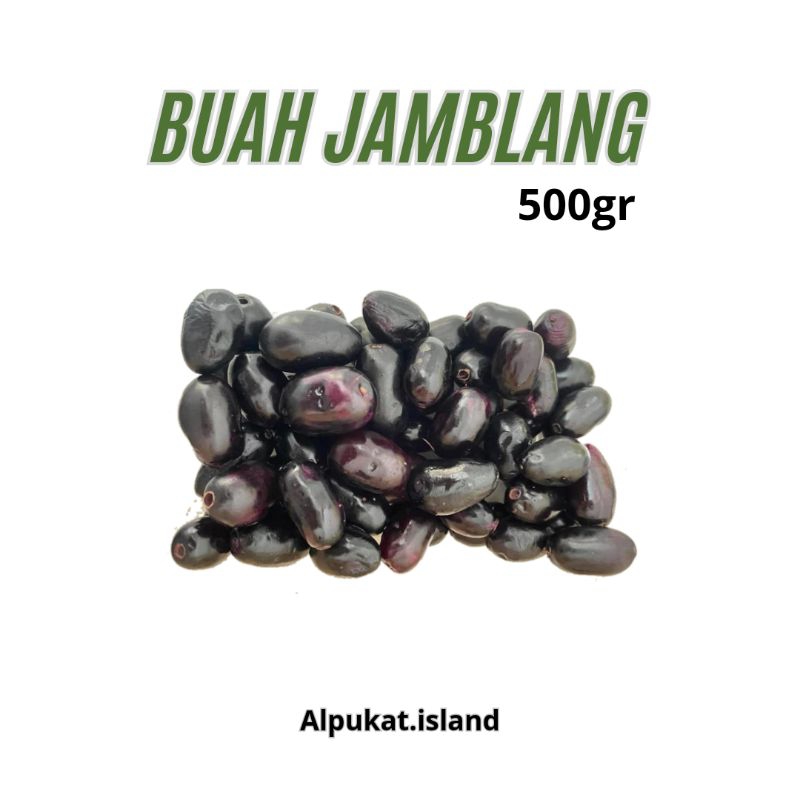 

buah jamblang 500gr