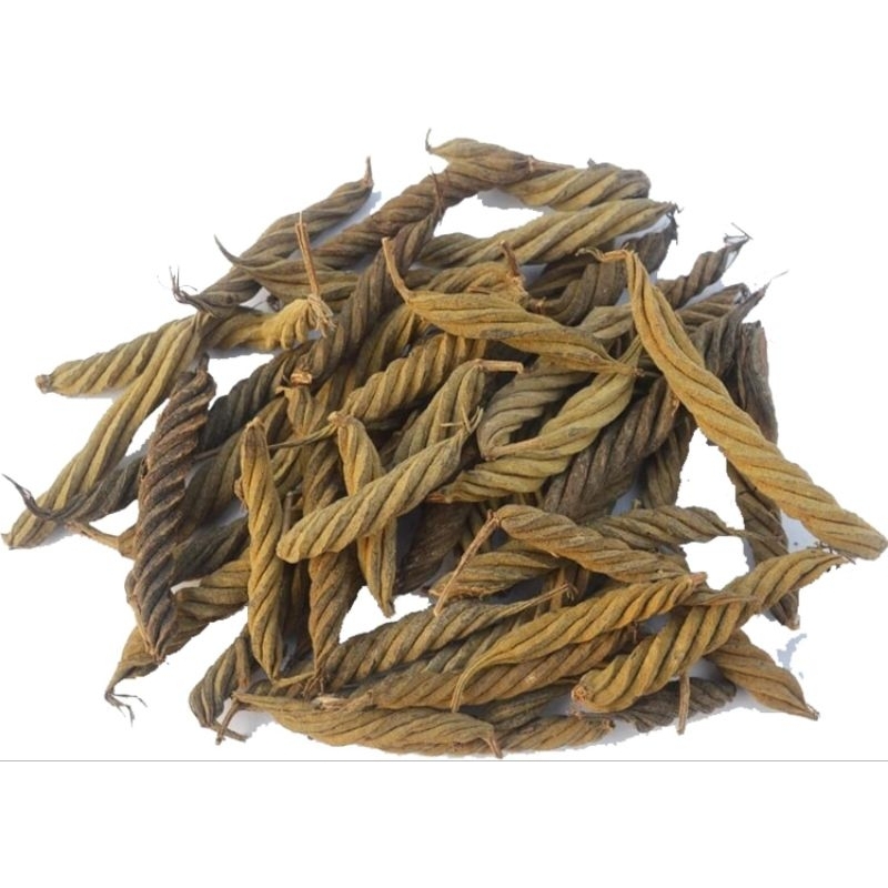 

Kayu Ulet Kering ( isi 250 Gram ) Ules Cabe putar Helicteres isora