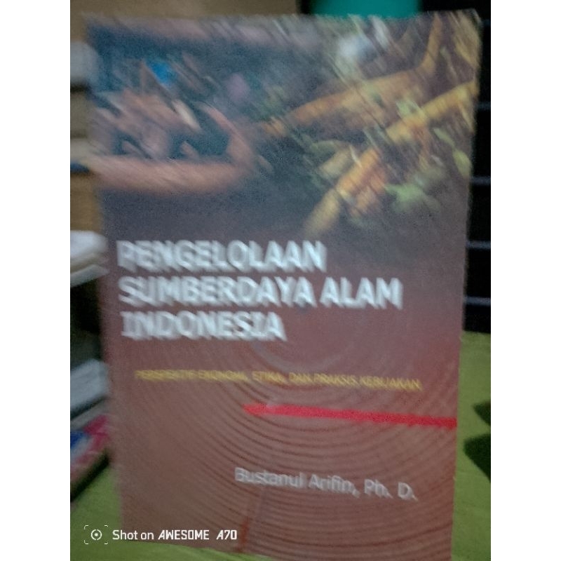 buku pengelolaan sumber daya alam Indonesia
