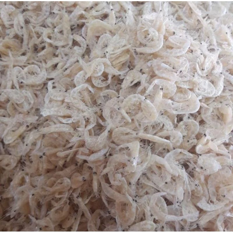 

ikan asin rebon 200g