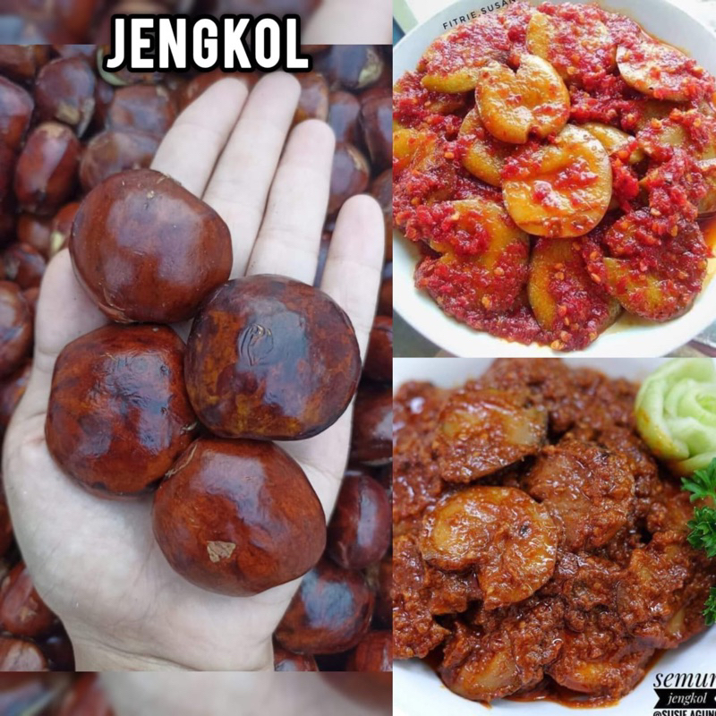 

Jengkol Tua Kalimantan 1kg