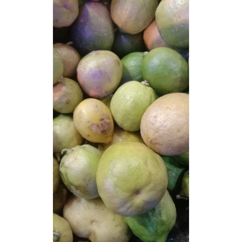 

Lemon