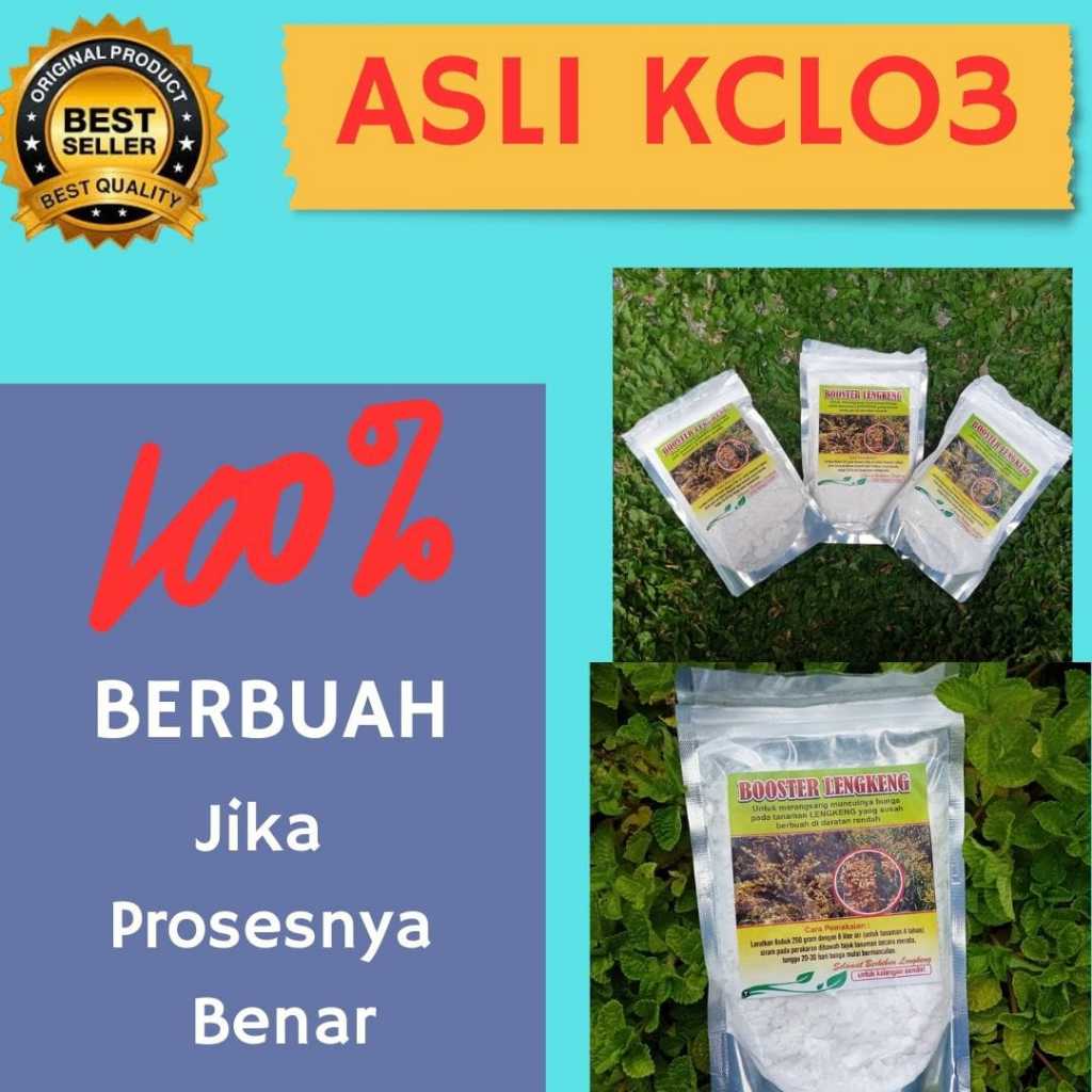 KUALITAS PREMIUM.. Booster kelengkeng kclo3