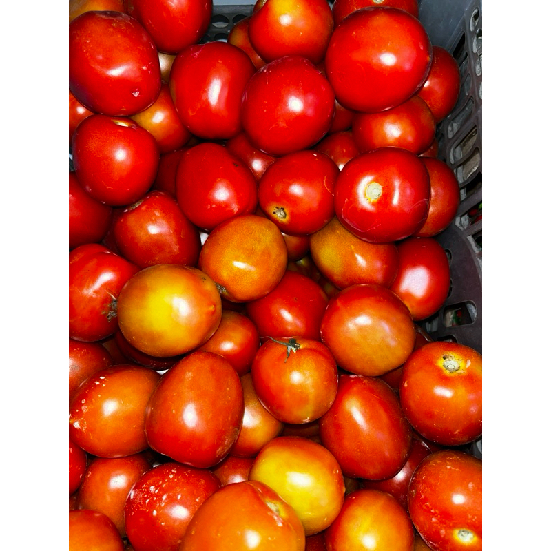 

Tomat/tomato (500gr)