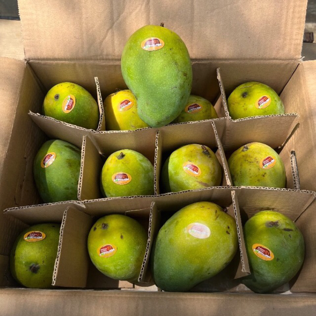 

Mangga Alpukat 5kg