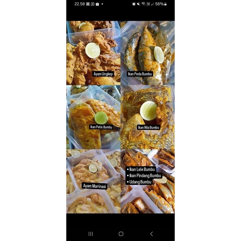 

IKAN MARINASI LAUK BERBUMBU IKAN LELE IKAN PINDANG ADONAN UDANG JAGUNG IKAN PEDA IKAN NILA