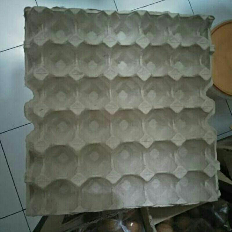 Egg Tray Ayam / Bebek / Rak Telor Bekas Layak Pakai Bahan Karton