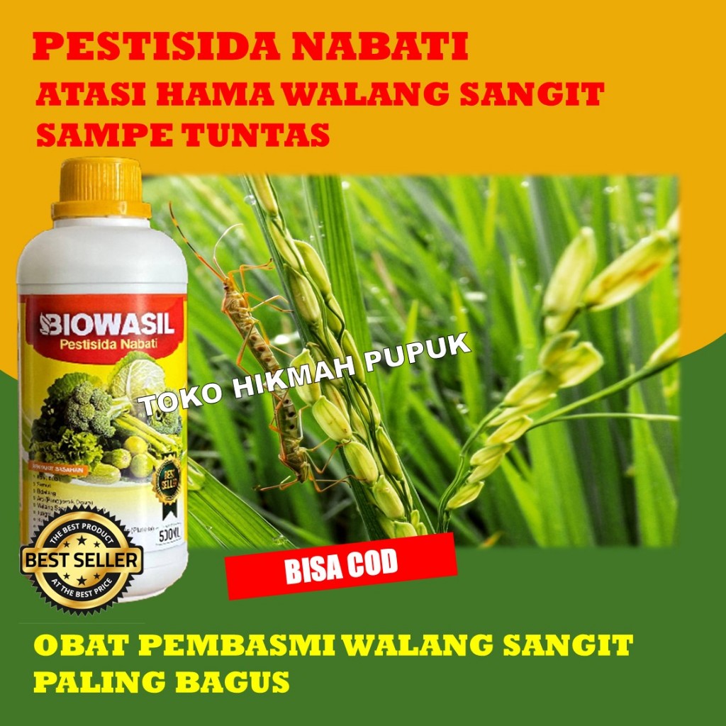 BIOWASIL Obat Hama Padi Sawah Walang Sangit - Obat Pembasmi Walang Sangit Obat Pengusir Hama Padi Sa