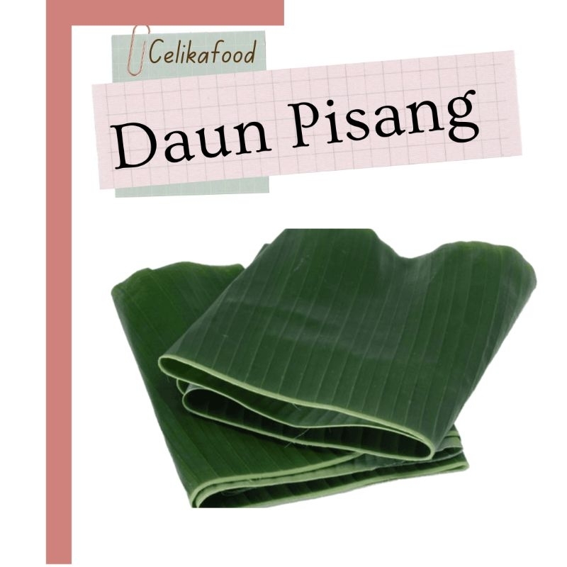 

Daun Pisang 1 Ikat untuk Pepes Masakan