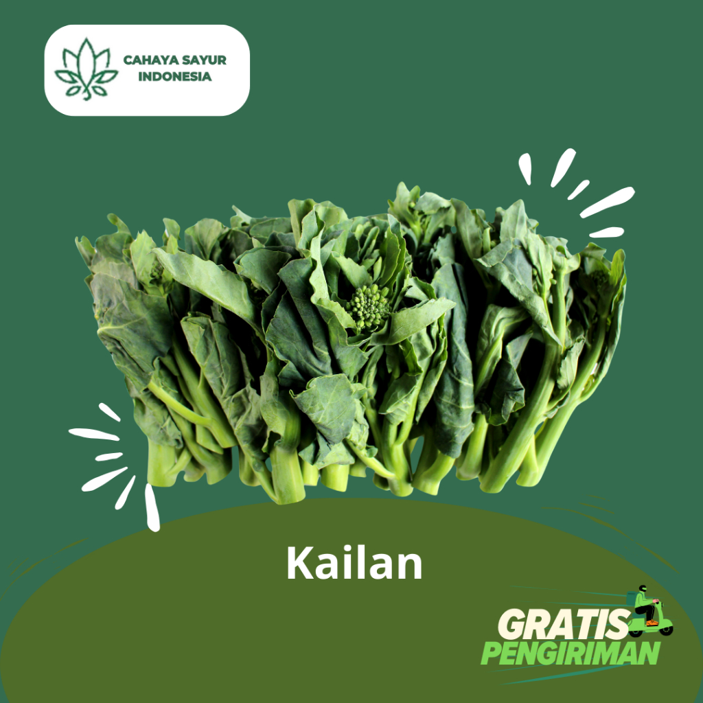 

Kailan / Kalian Baby / Sayur Kailan 1KG + Gratis Ongkir