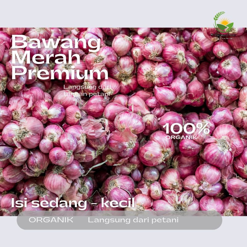 

BAWANG MERAH LANGSUNG DARI PETANI