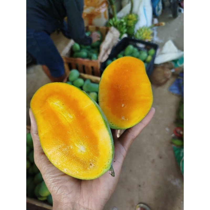 

MANGGA HR berat 2kg