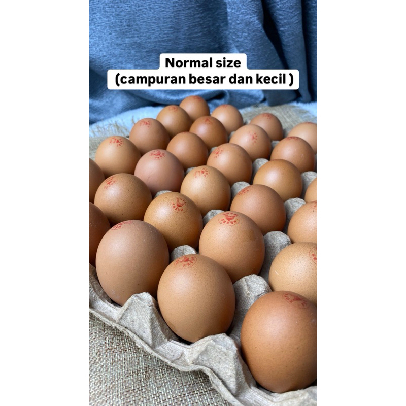 

(normal size) TELUR ORGANIK / TELUR OMEGA 3 ROYAL FRESH EGG