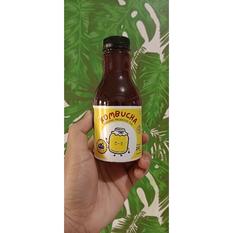 

Kombucha Syifadhillah Bunga Telang 250ml