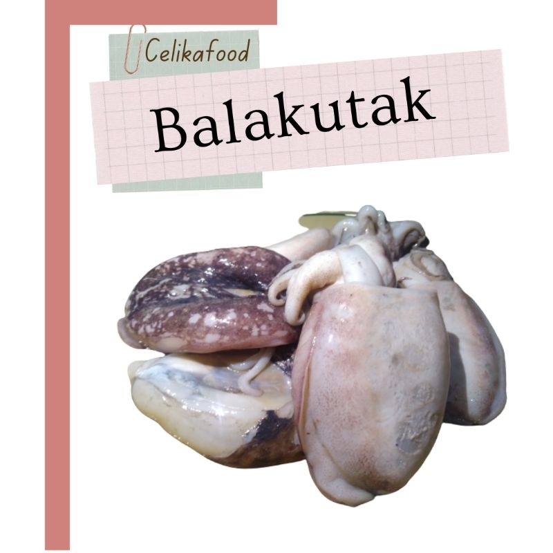 

Cumi Balakutak 500gr Tinta Hitam Squid Frozen Food