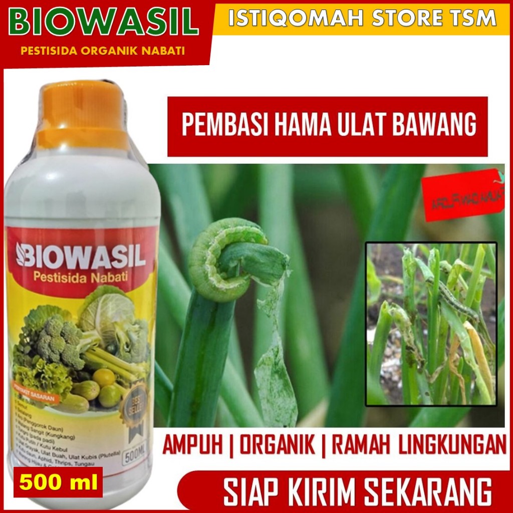 (COD) BIOWASIL 500 ML PESTISIDA HAMA ULAT BAWANG MERAH, BAWANG DAUN, PADI Obat Hama Tanaman Ulat Baw