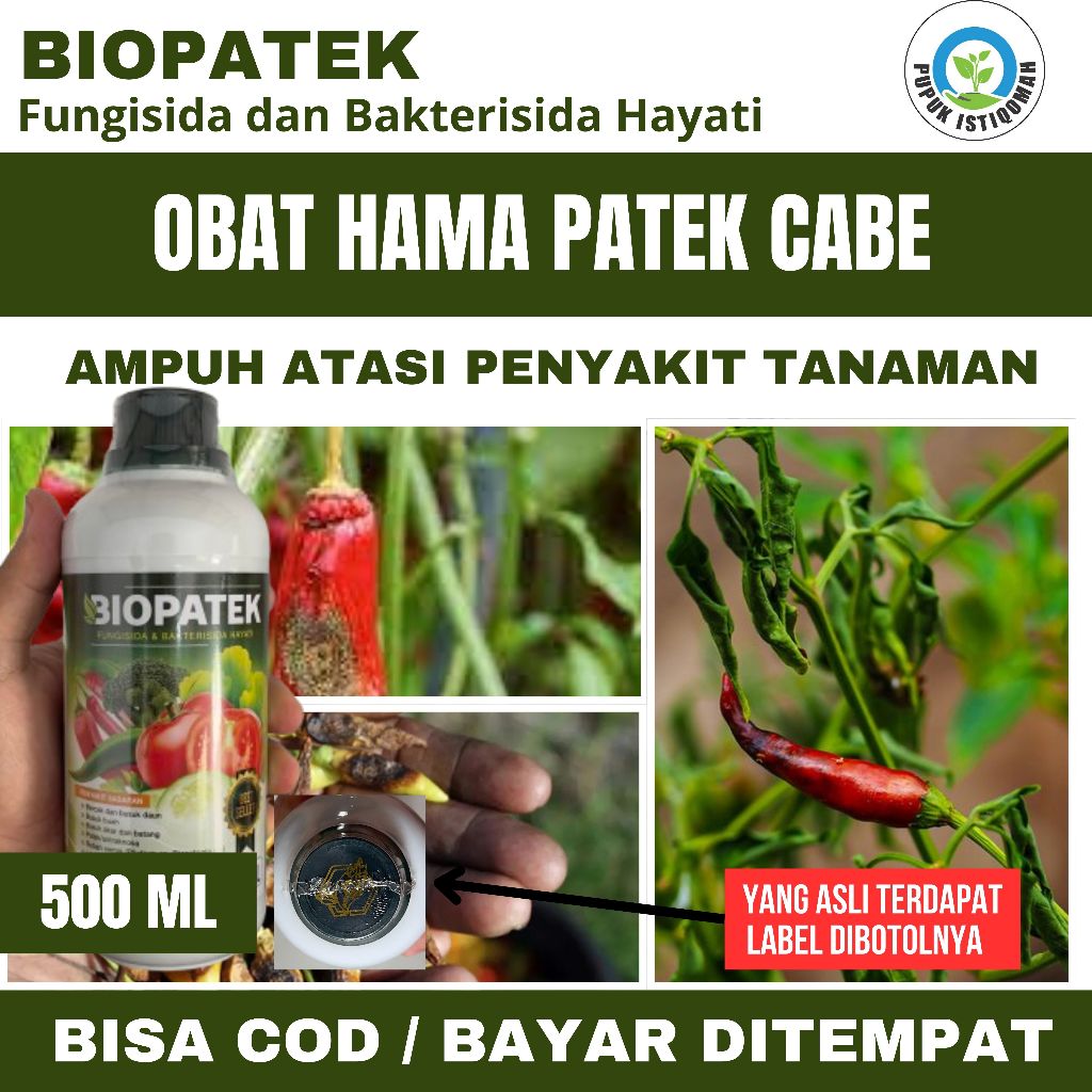 Obat Bercak Daun dan Busuk Buah, Busuk akar dan Batang, Patek/antraknosa, Layu fursarium Buah Cabe