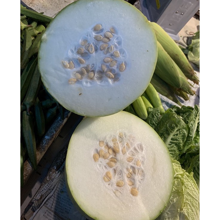 

Baru Meriah Labu kundur Labu tangkua