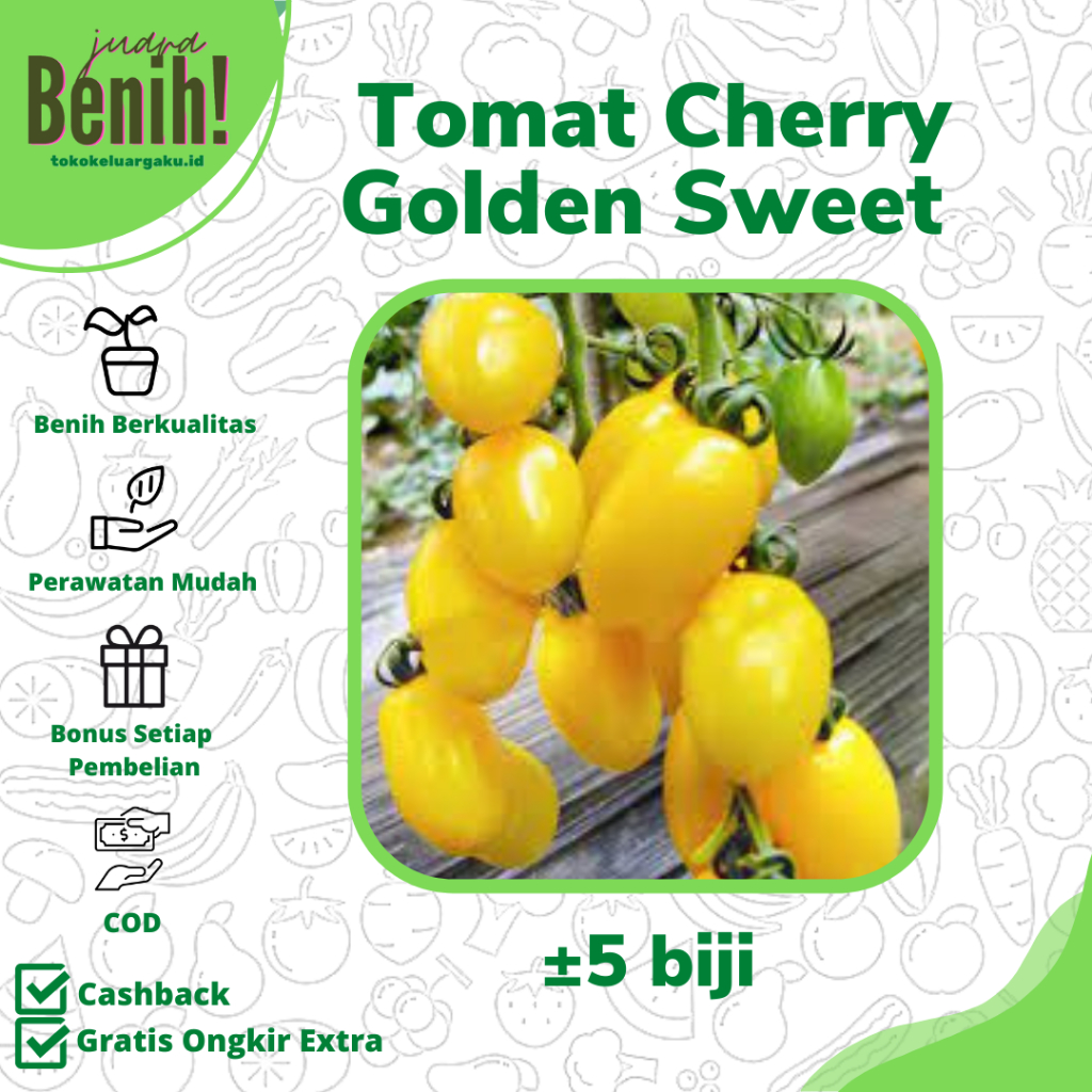 5 Biji - Benih Tomat Cherry GOLDEN SWEET F1 - Rasa Manis Bibit Tanaman Buah Sayuran Tomat Cery Ceri 