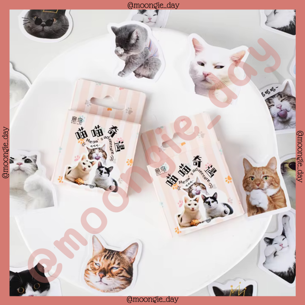 

40-45 PCS/BOX STIKER KERTAS TEMA MEOW'S ADVENTURE CAT MEME KUCING BULLET JURNAL DIY DIARY LUCU MURAH