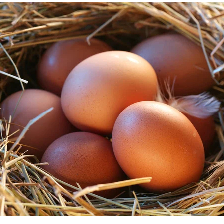 

Telur Ayam Negeri 1kg segar/Fresh Setiap Hari