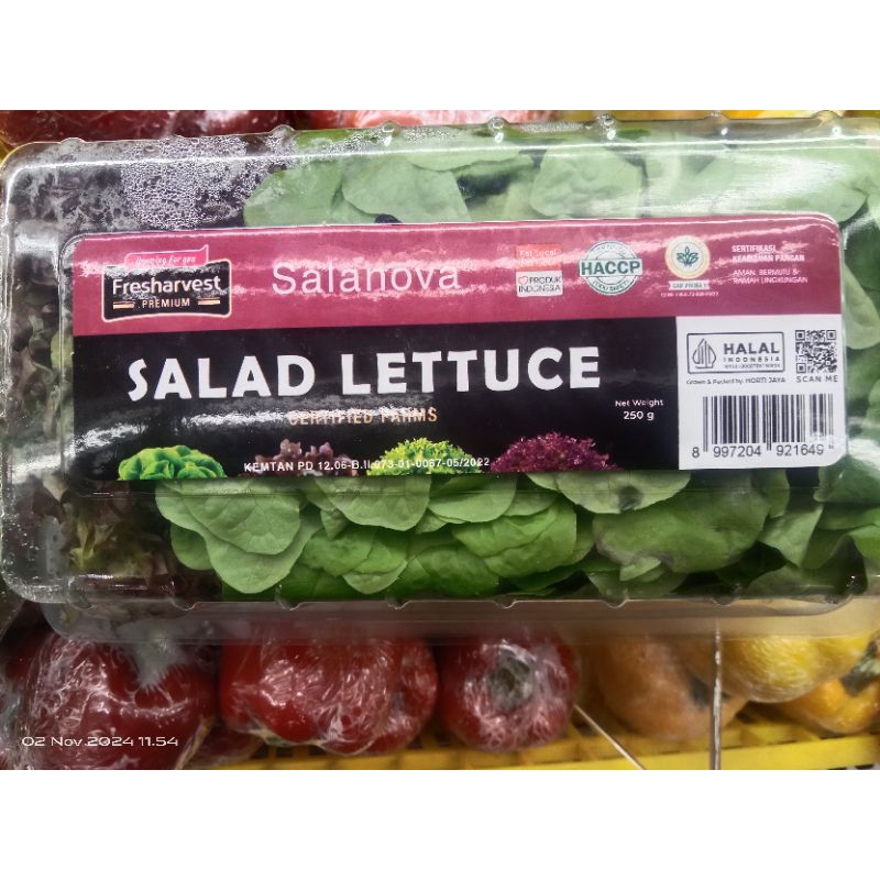 

Salad lettuce organik mix Fresh Harvest/pack 250 g