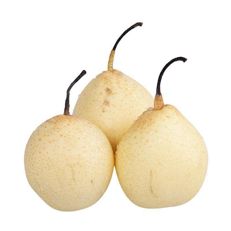 

Buah Pear Century Segar
