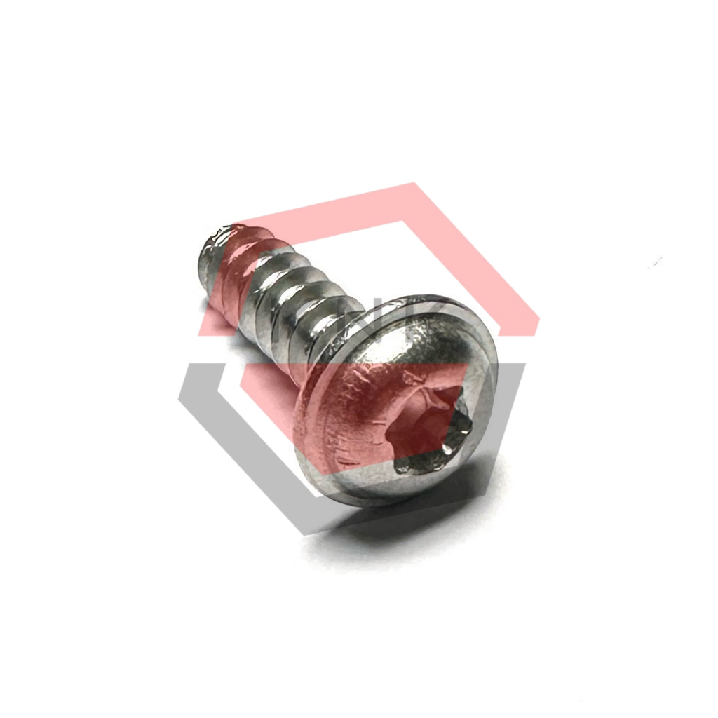 SKRUP BODY L BINTANG 5x16 STAINLESS STEEL TORX FLANGE BUTTON HEAD