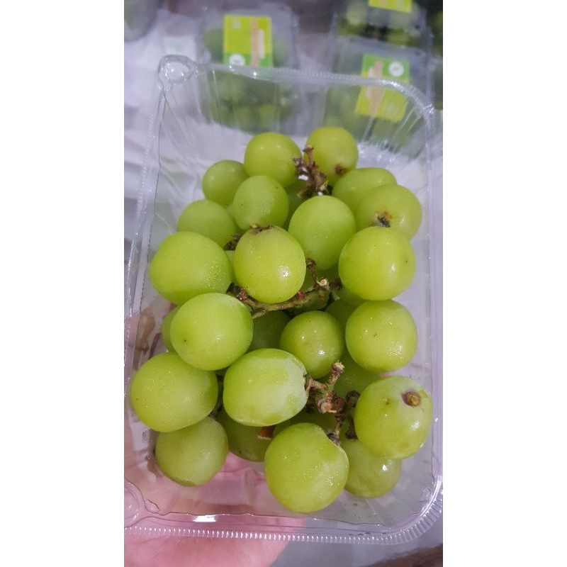 

Anggur Shine Muscat 500gr/Pack
