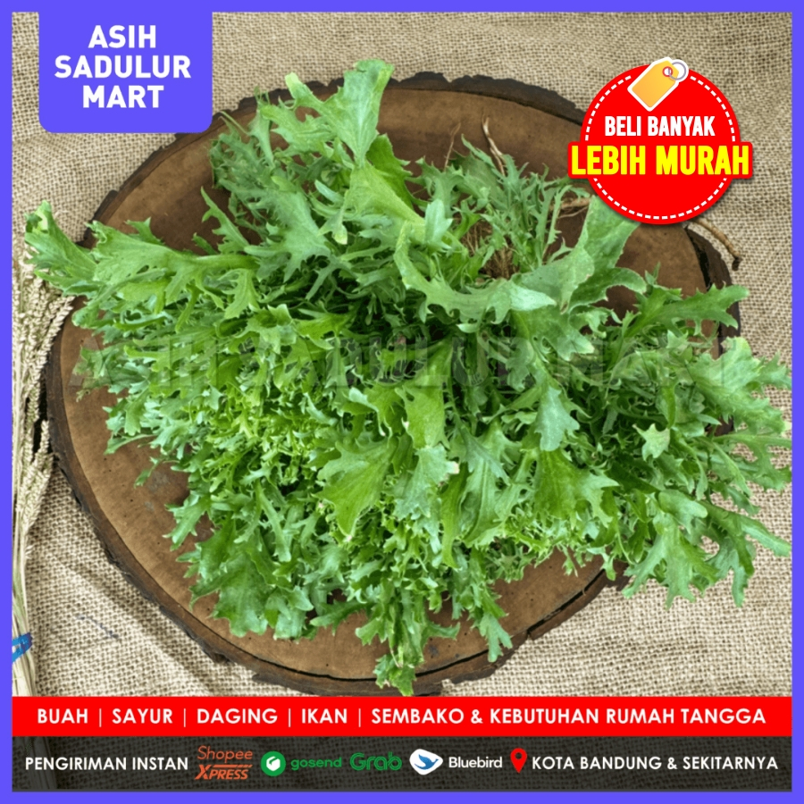 

Lettuce Endive 500g & 250g Promo Bandung Asih Sadulur Mart
