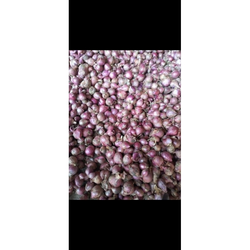 

berambang merah 1kg/bawang merah 1kg